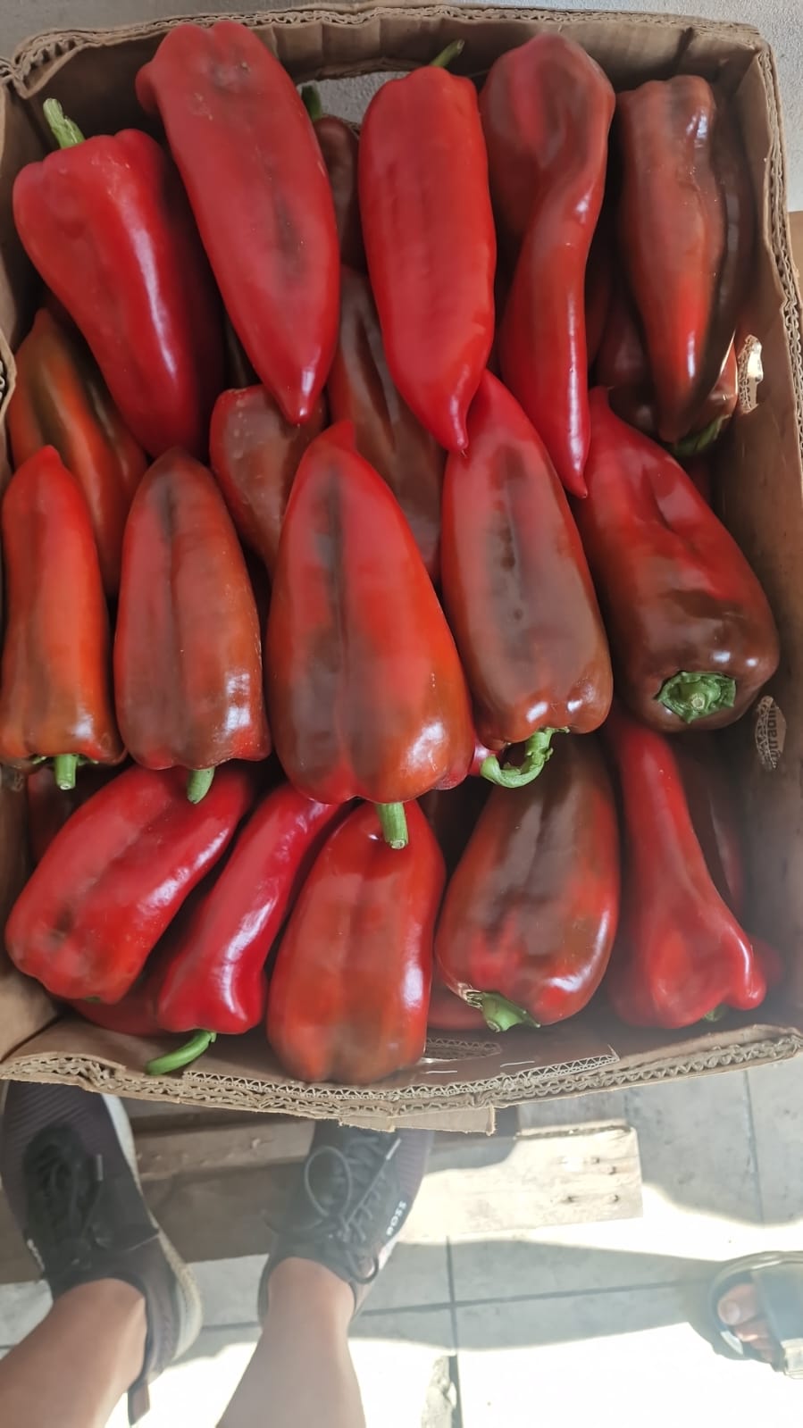 Kapia Peppers